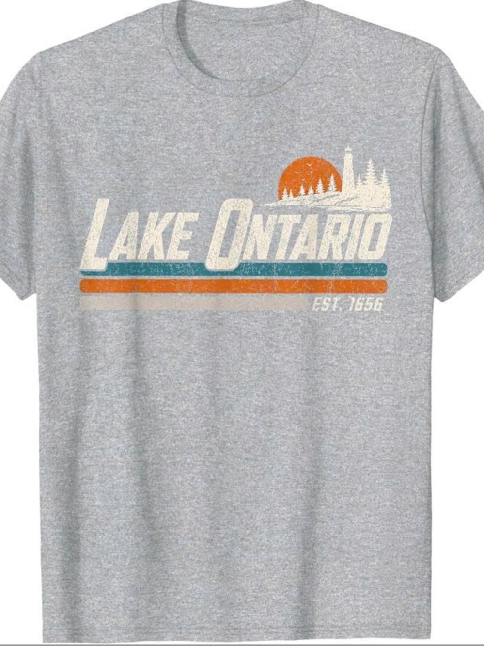 Lake Ontario Graphic T-Shirt - Gray